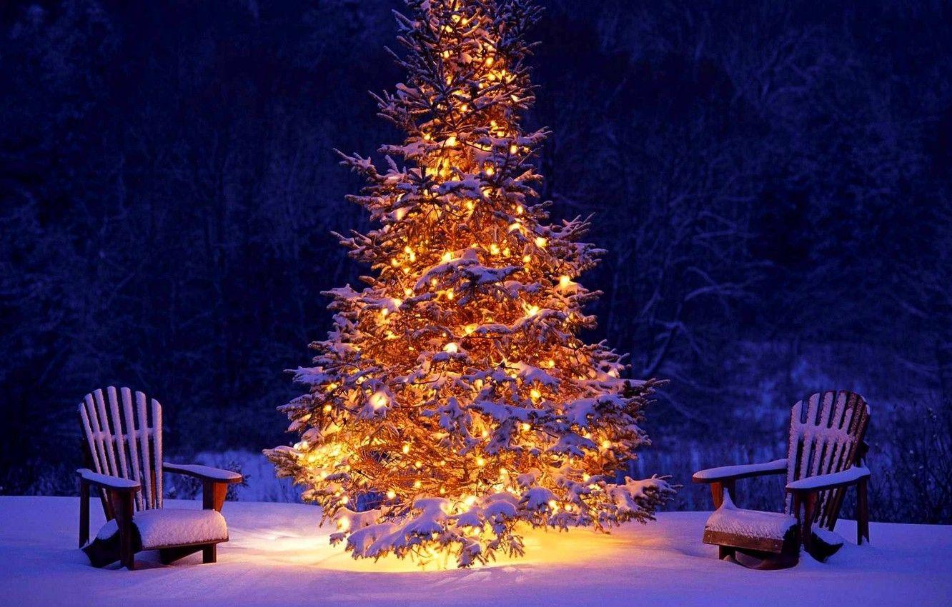 1332x850 Wallpaper winter, forest, snow, lights, lights, holiday, tree, Christmas, New year, forest, Christmas, winter, snow, happy new year, holiday, Christmas tree image for desktop, section новый год