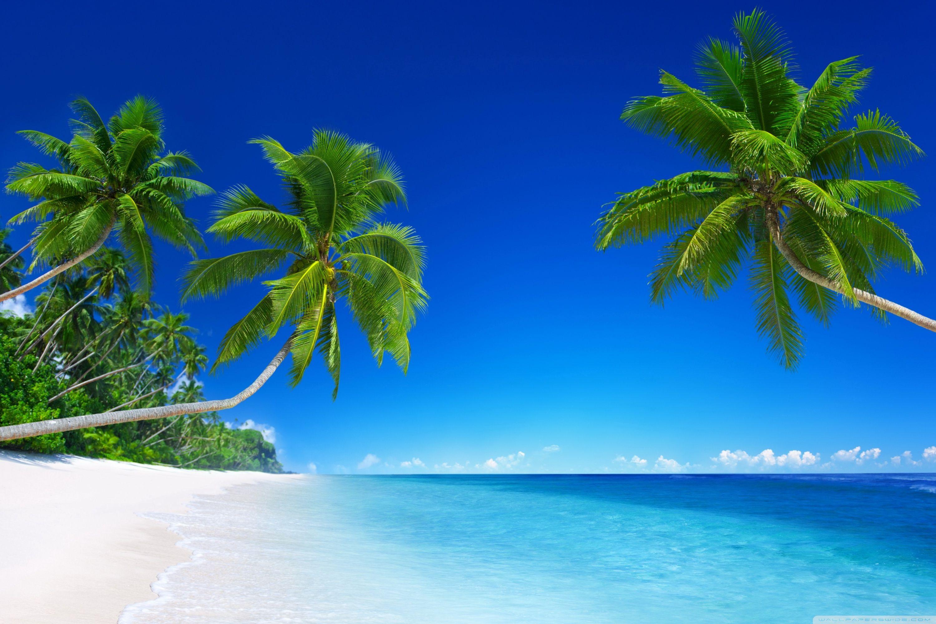 3000x2000 Tropical Beach Paradise 5K Ultra HD Desktop Background Wallpaper for 4K UHD TV : Tablet