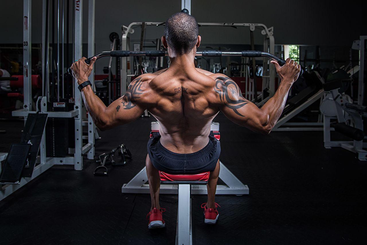 1280x854 Photo Tattoos Men Muscle Workout Human back athletic Bodybuilding