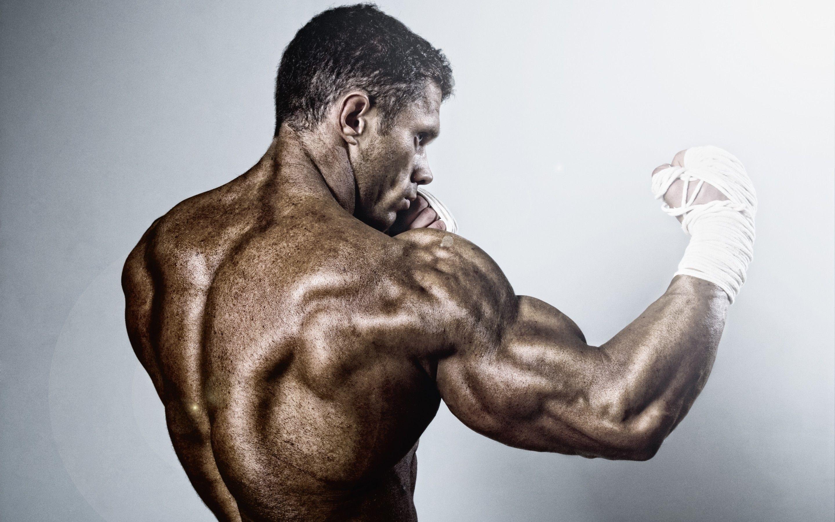 2880x1800 Boxing Back Muscles Wallpaper
