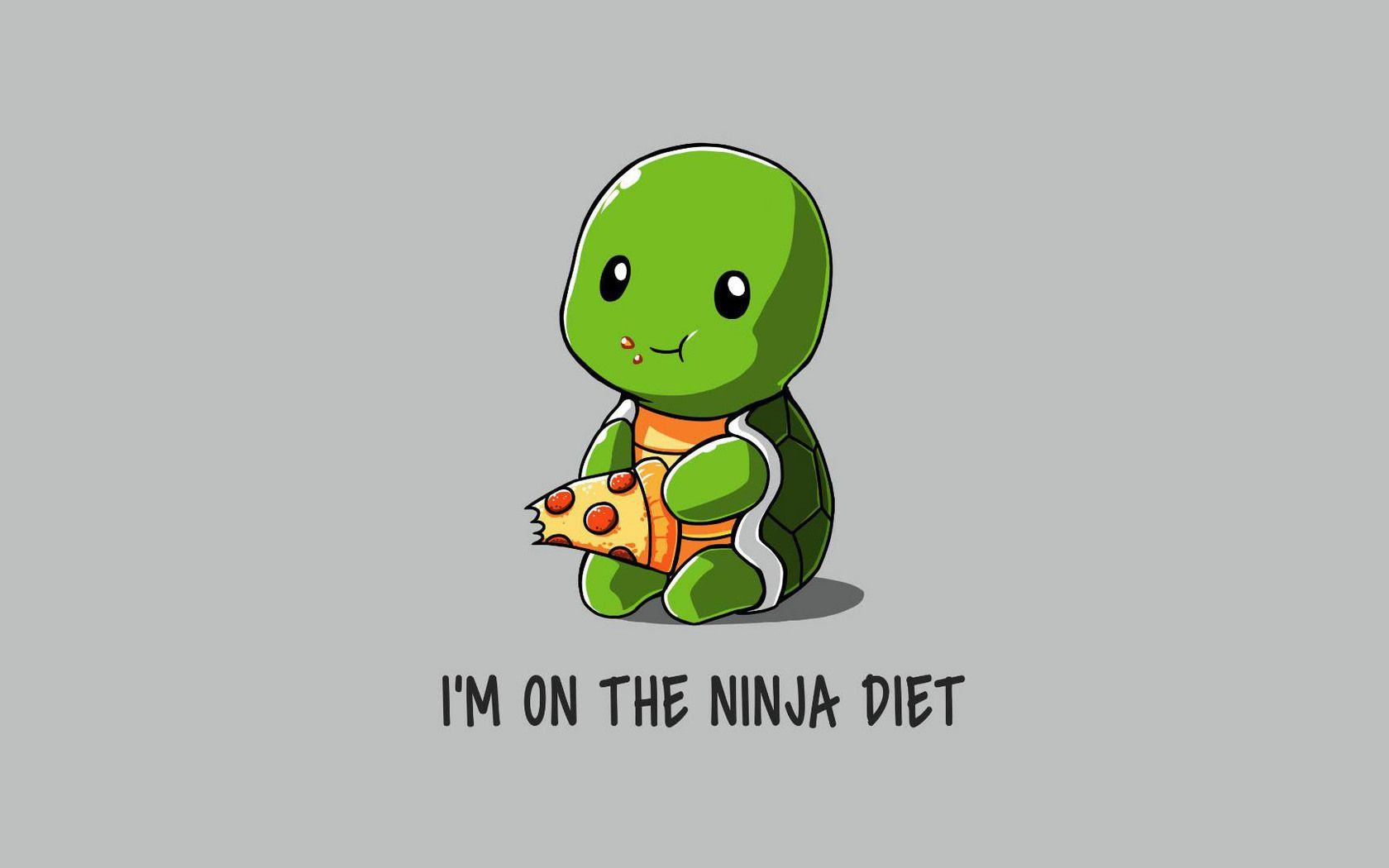 1680x1050 Funny Ninja On Diet 1680x1050 Resolution HD 4k Wallpaper, Image, Background, Photo and Picture