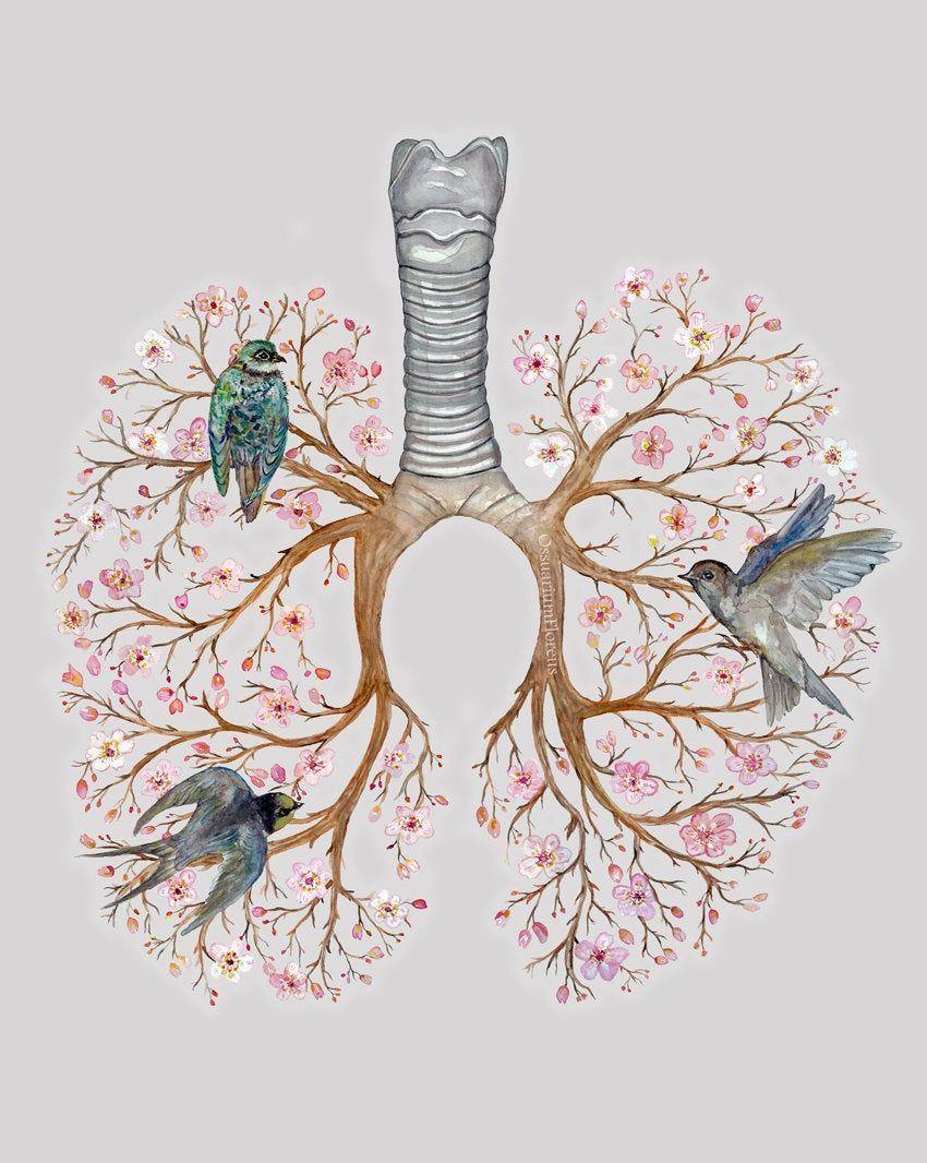 850x1066 misclenious. Biology art, Lungs art, Floral poster