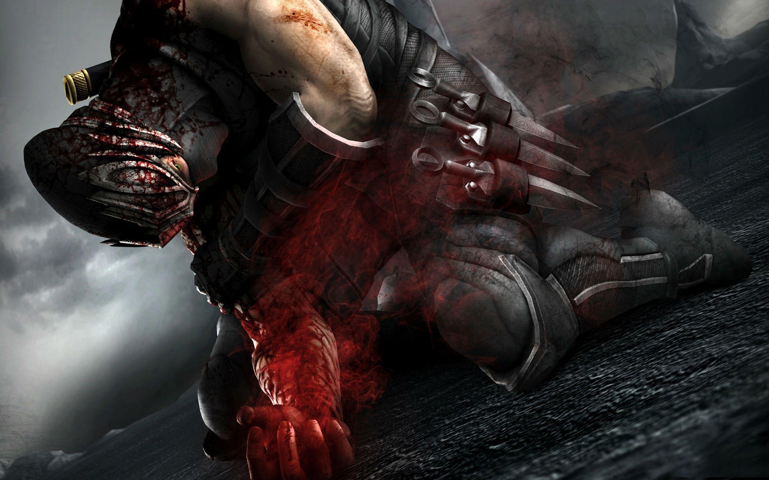 2560x1600 Ninja Gaiden 3 Grip Of Murder Wallpaper