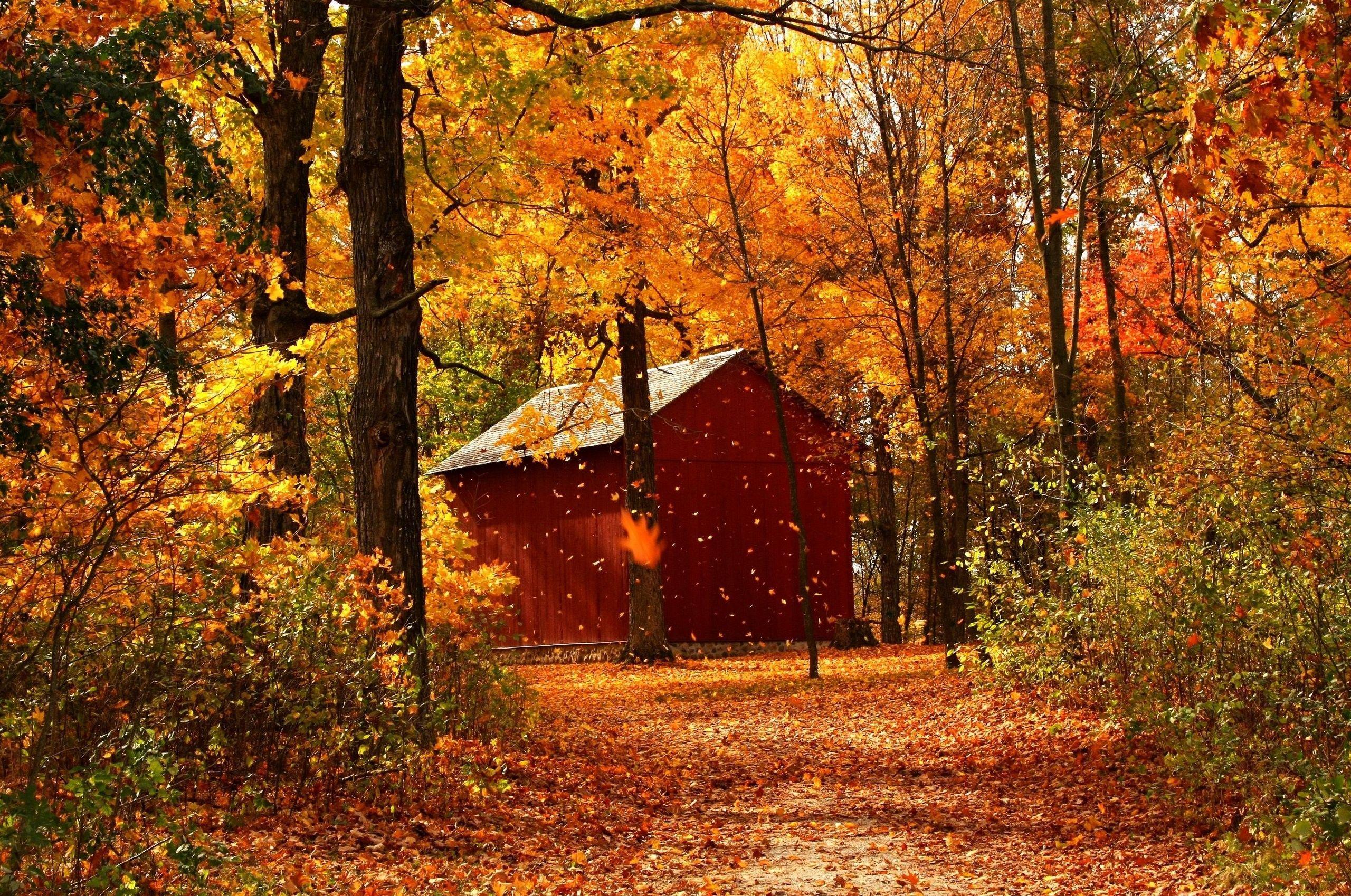 Autumn Cabin Wallpapers - Top Free Autumn Cabin Backgrounds ...