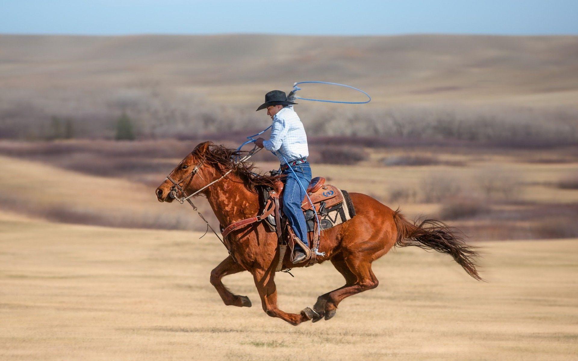 1920x1200 horse, western, horses, cowboys wallpaper