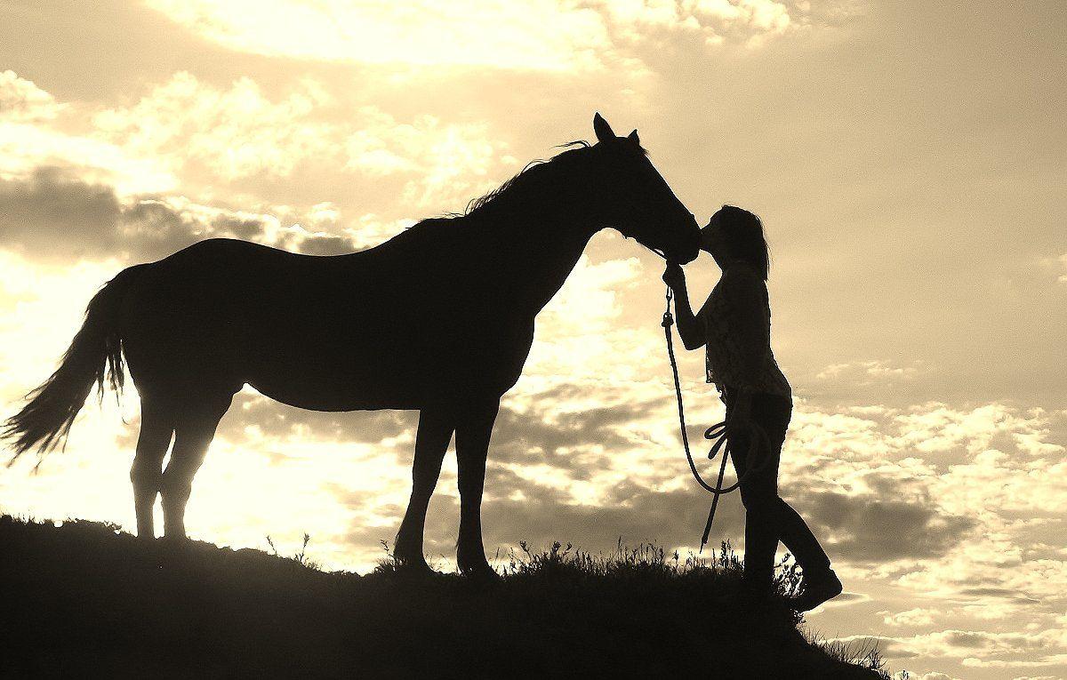 1200x765 Free download Western Horse Wallpaper wallpaper wallpaper HD background desktop [1200x765] for your Desktop, Mobile & Tablet. Explore Western Background & Wallpaper. Country Western Wallpaper, Western HD Wallpaper, Western