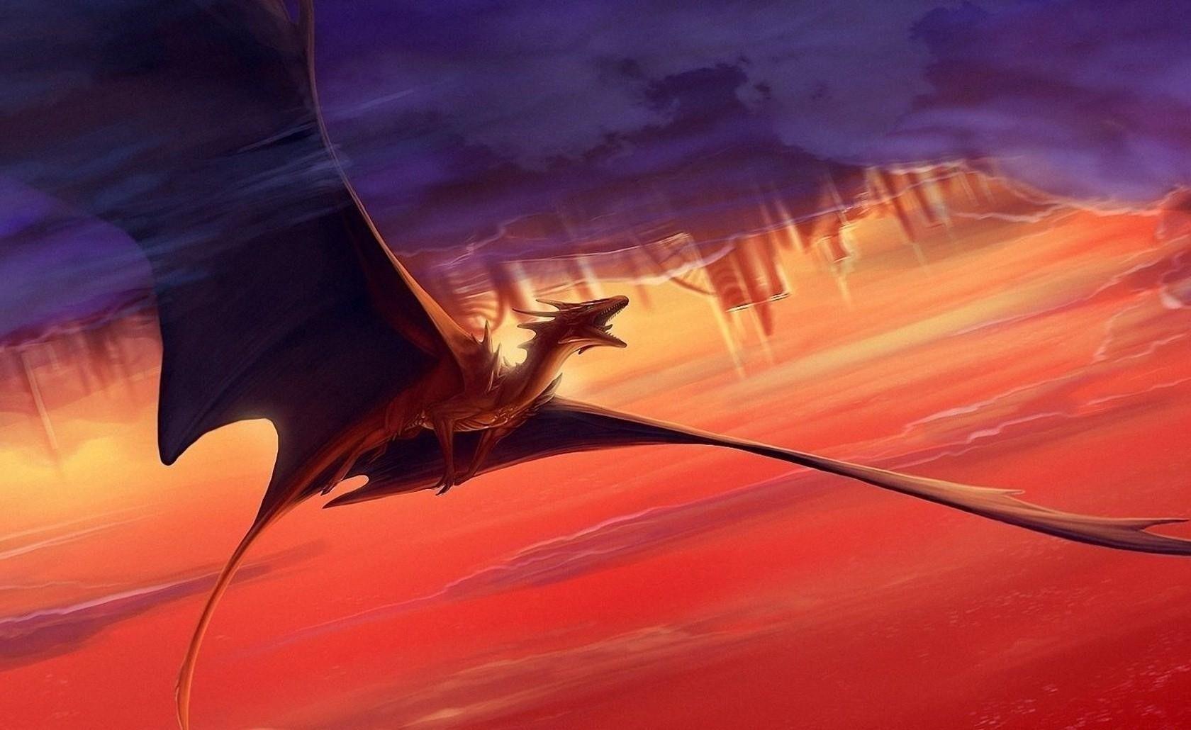 Flying Dragon Wallpapers Top Free Flying Dragon Backgrounds