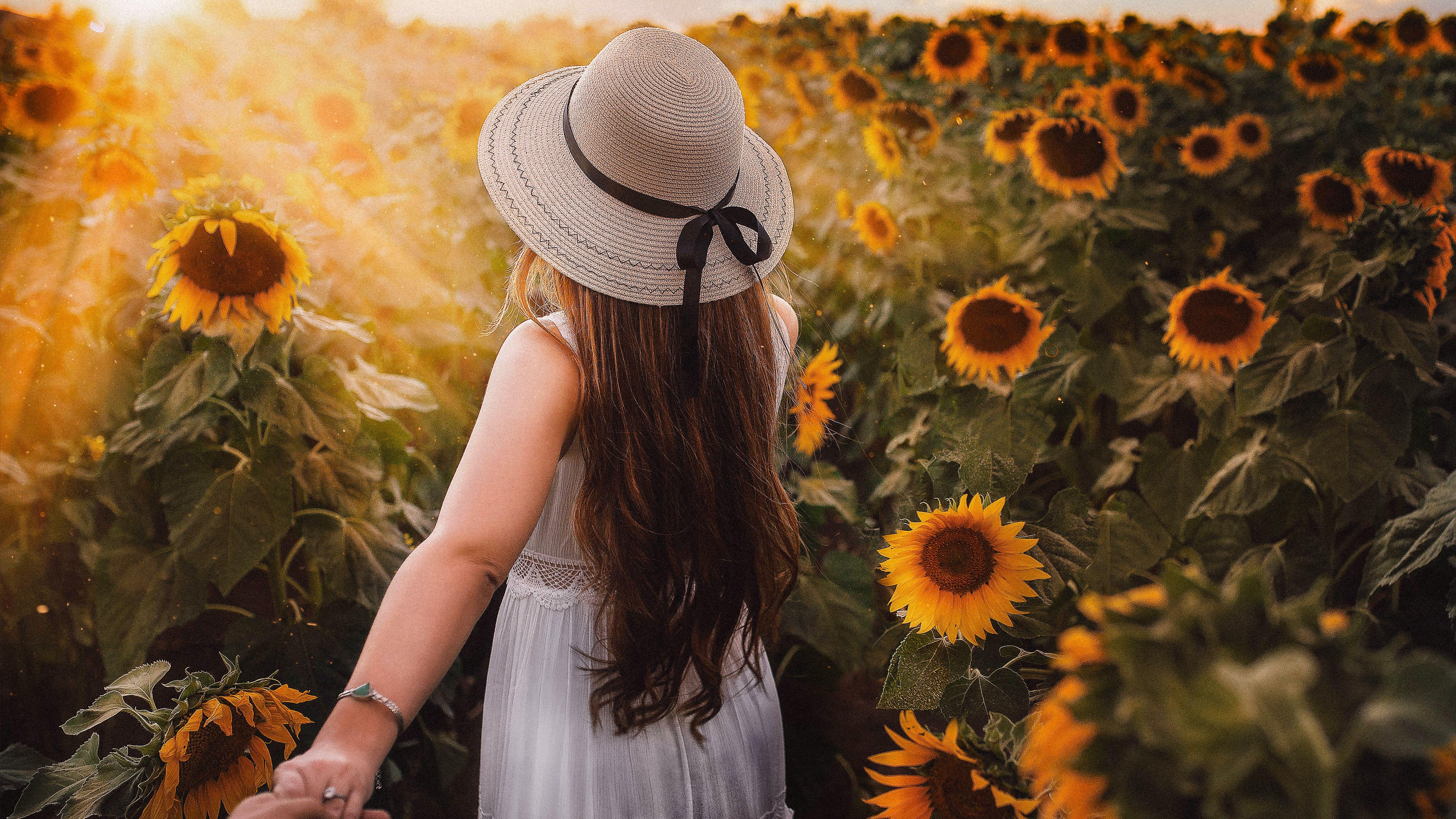 7680x4320 GIrl in Sunflower Park 4K 8K Wallpaper