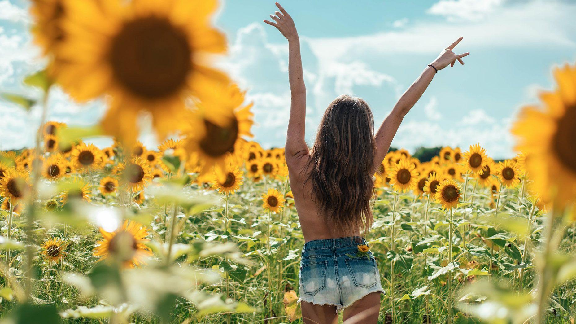 1860x1046 Girl In Sunflower Field