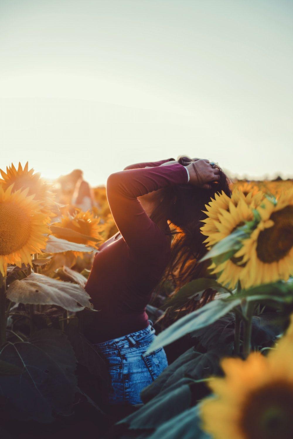 1000x1500 Sunflower Fields Wallpaper