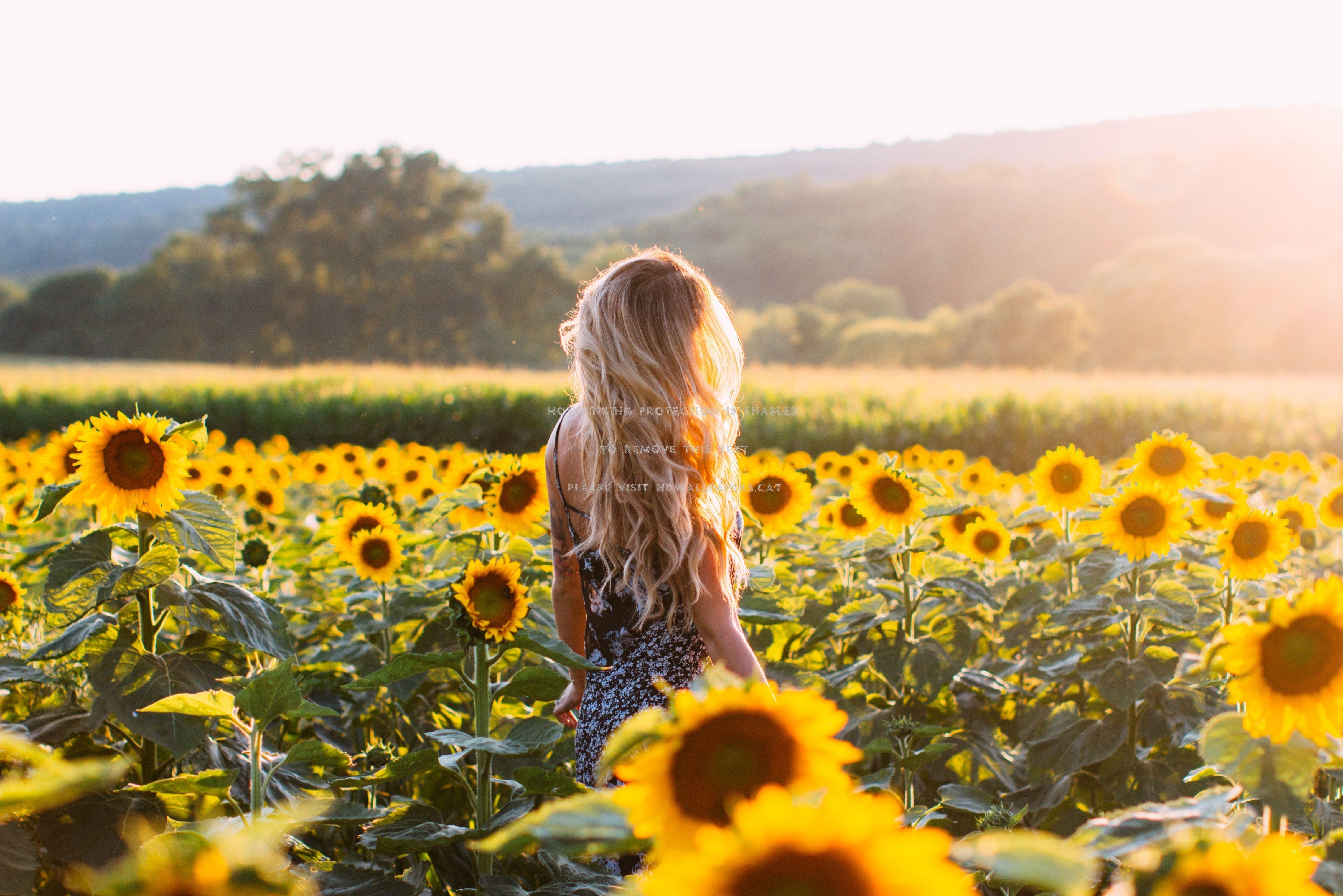4844x3231 sunflower girl beautiful beauty photography
