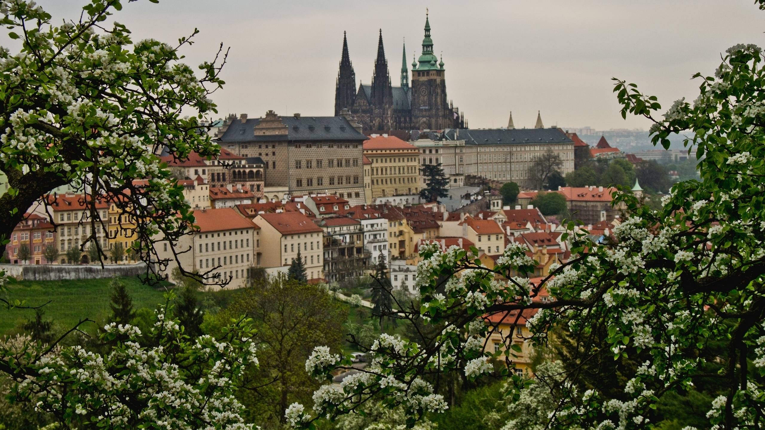 2560x1440 prague, czech republic, view 1440P Resolution Wallpaper, HD City 4K Wallpaper, Image, Photo and Background