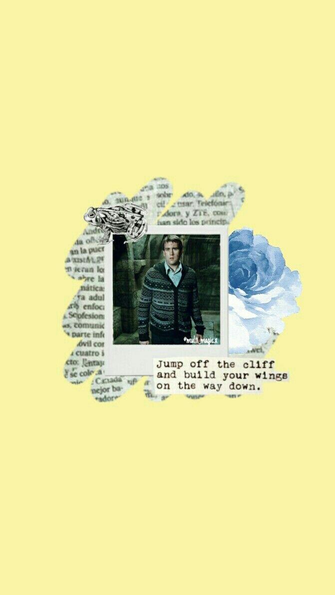 671x1192 Neville longbottom lockscreen. Slytherin harry potter, Harry potter wallpaper, Neville longbottom harry potter