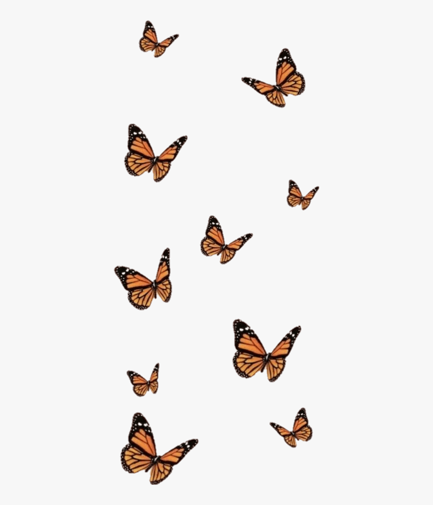 Aesthetic Butterfly Background Stickers for Sale  Redbubble