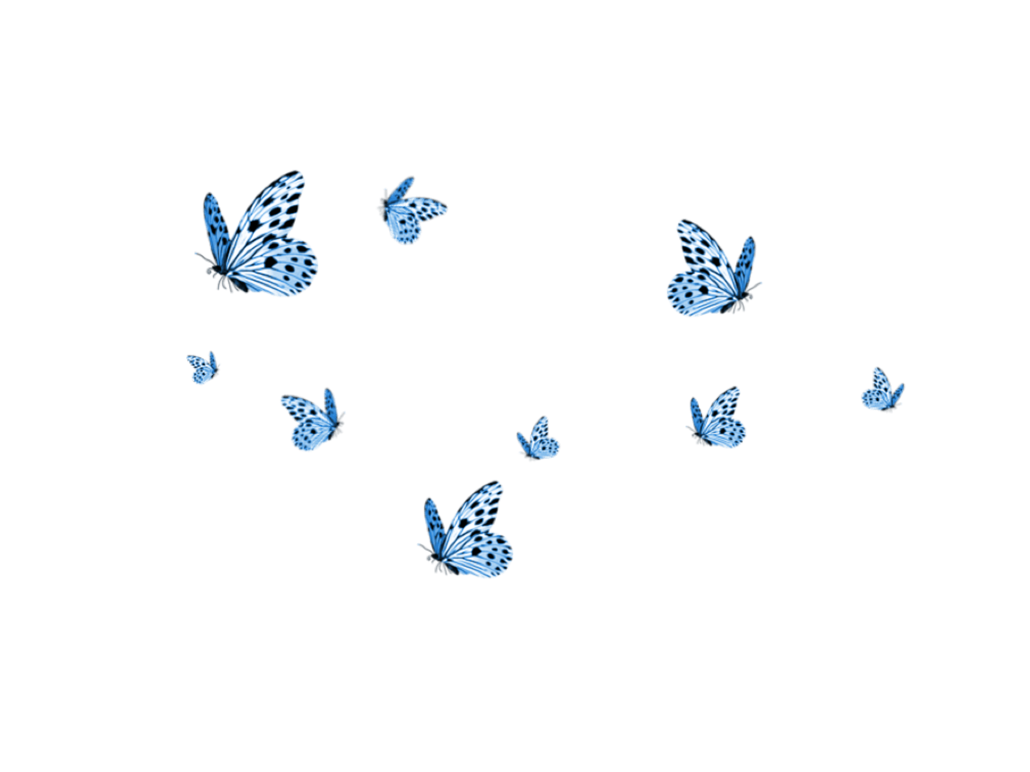 2048x1536 Cute Aesthetic Butterflies Wallpaper
