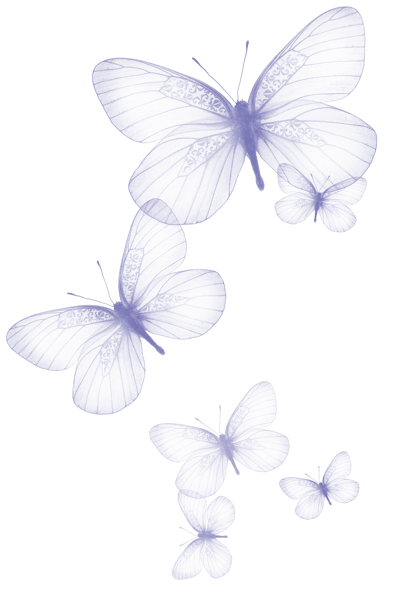 1422x2057 Transparent Butterfly PNG Clipart Picture. Butterfly wallpaper, Butterfly art, Art