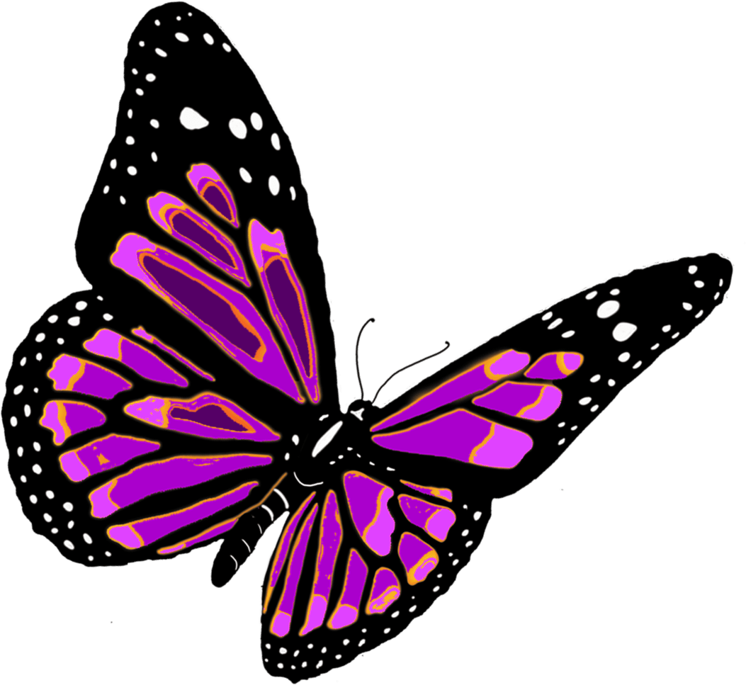 1053x967 Butterfly HD Wallpaper 3D Png