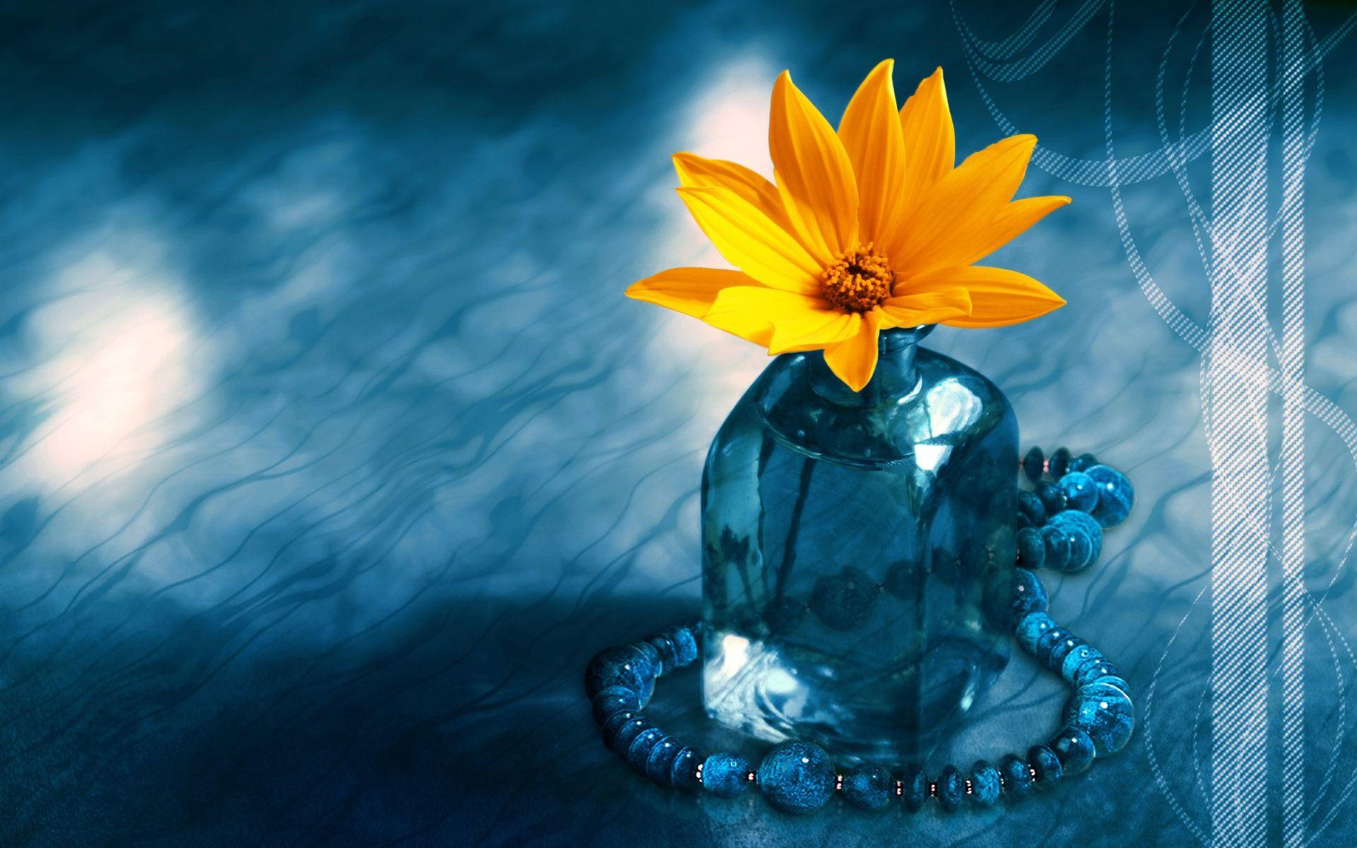 1920x1200 Blue Sun Flower Free Desktop Flower HD Photo Background Lord Shiva Wallpaper & Background Download