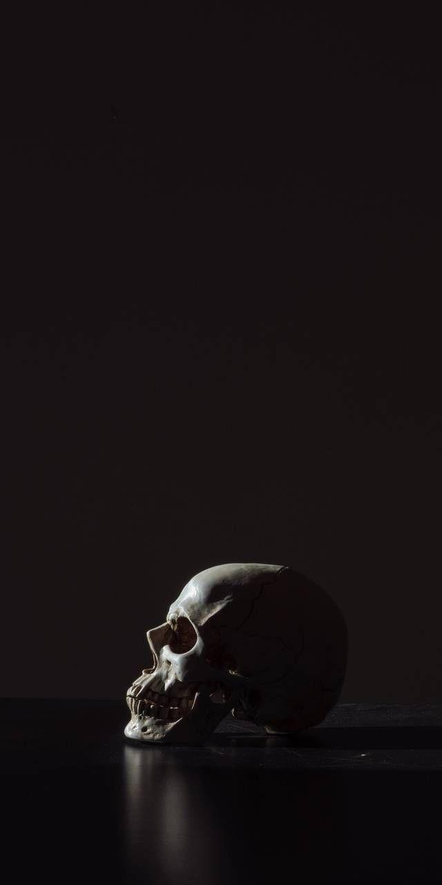 640x1280 Download Skull wallpaper by Rubarbarella now. Browse millions of popular an. Skull wallpaper, Black skulls wallpaper, Skull wallpaper iphone