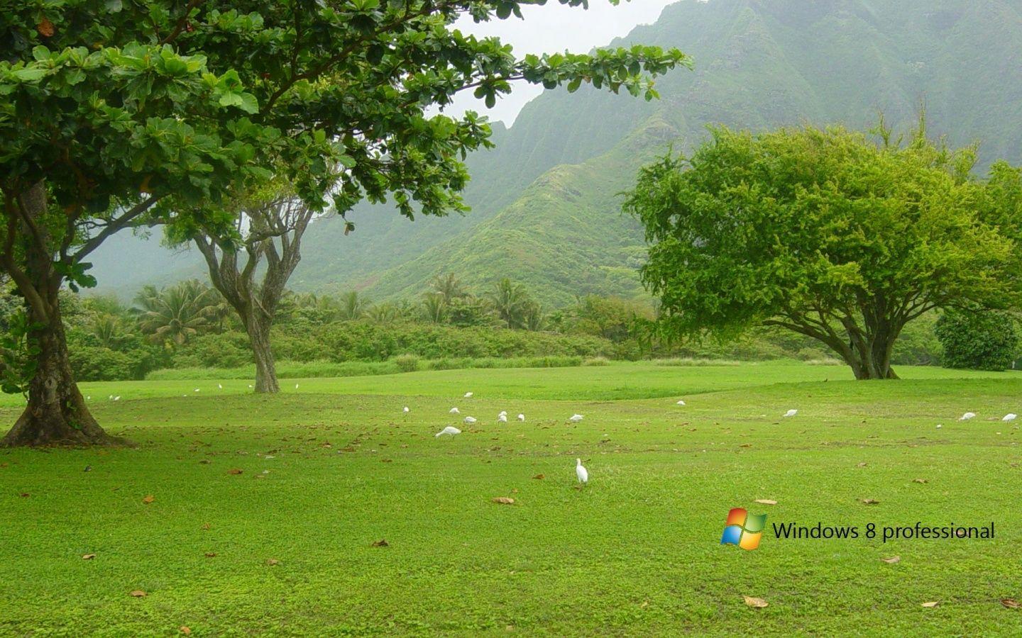 1440x900 image about Windows Wallpaper Desk×1080 Free
