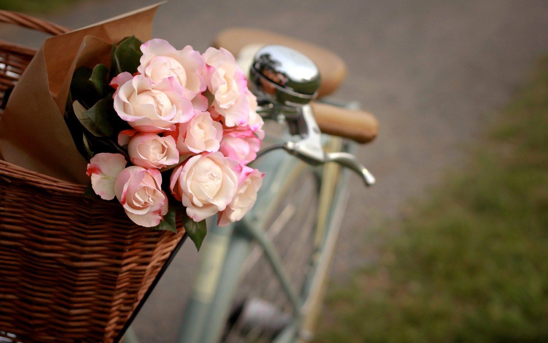 1920x1200 Bicycle Flowers wallpaper. Vintage flowers wallpaper, Flowers, Vintage flowers