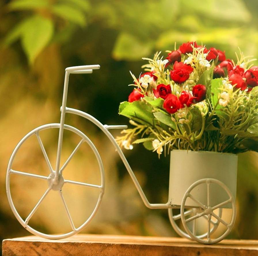 896x892 Bicycle Flowers wallpaper