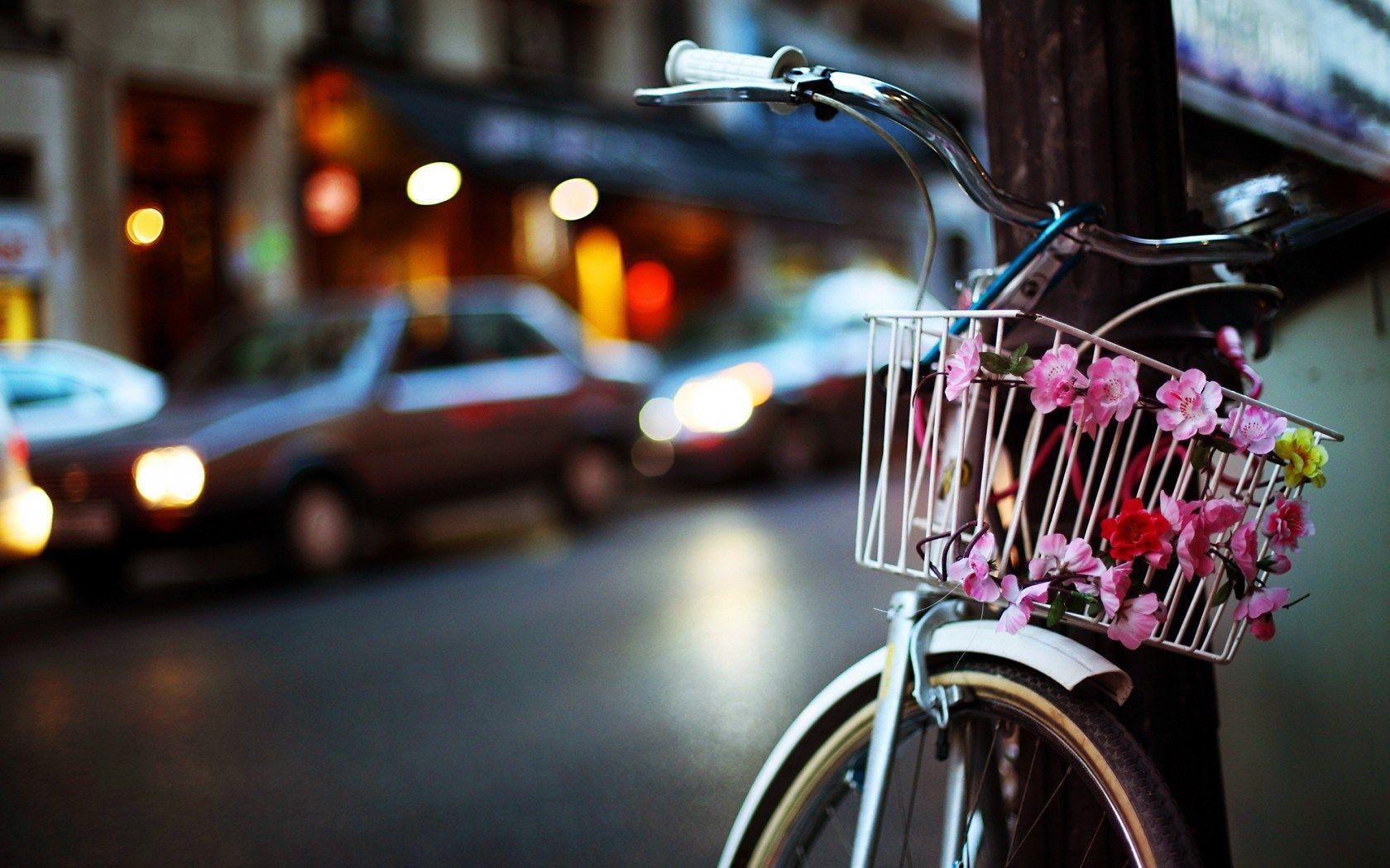1680x1050 Desktop Wallpaper Bicycles and Flowers
