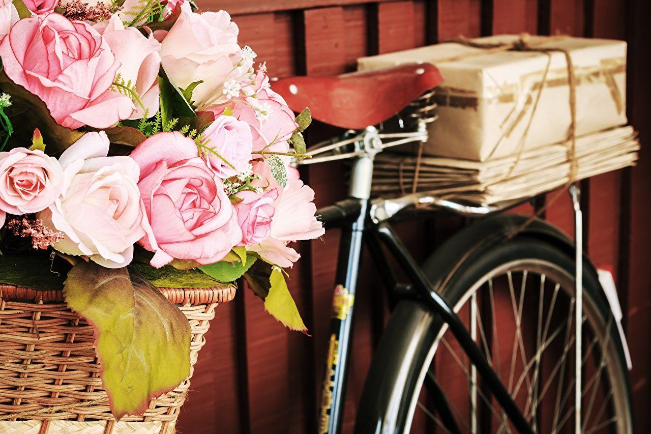 1280x853 Desktop Wallpaper Bicycle Roses Box flower Wicker basket