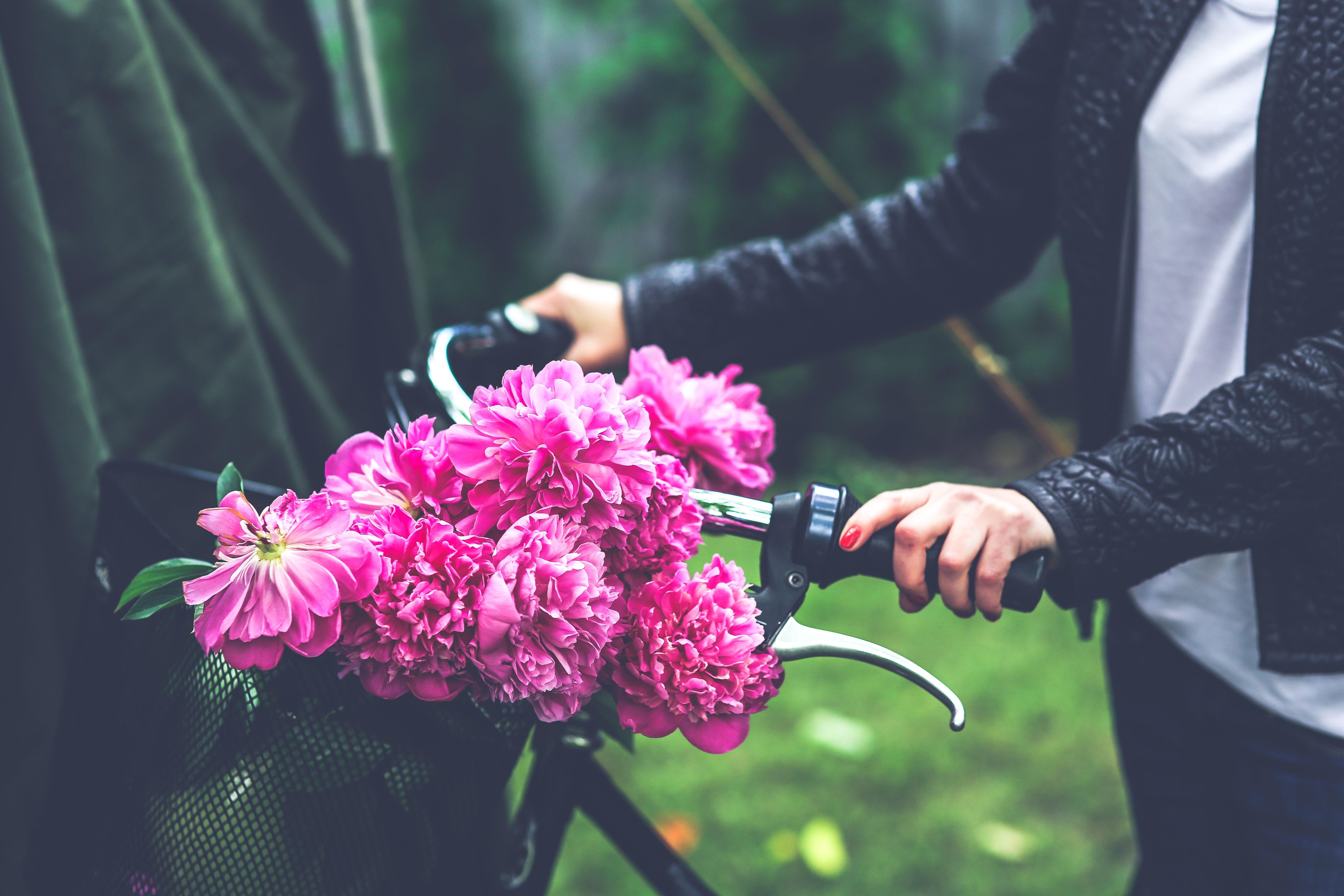 5472x3648 Bike with flower basket · Free