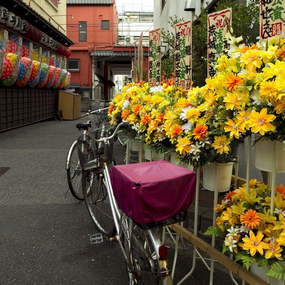 1000x1000 Bike Flowers Picture. Download Free Image
