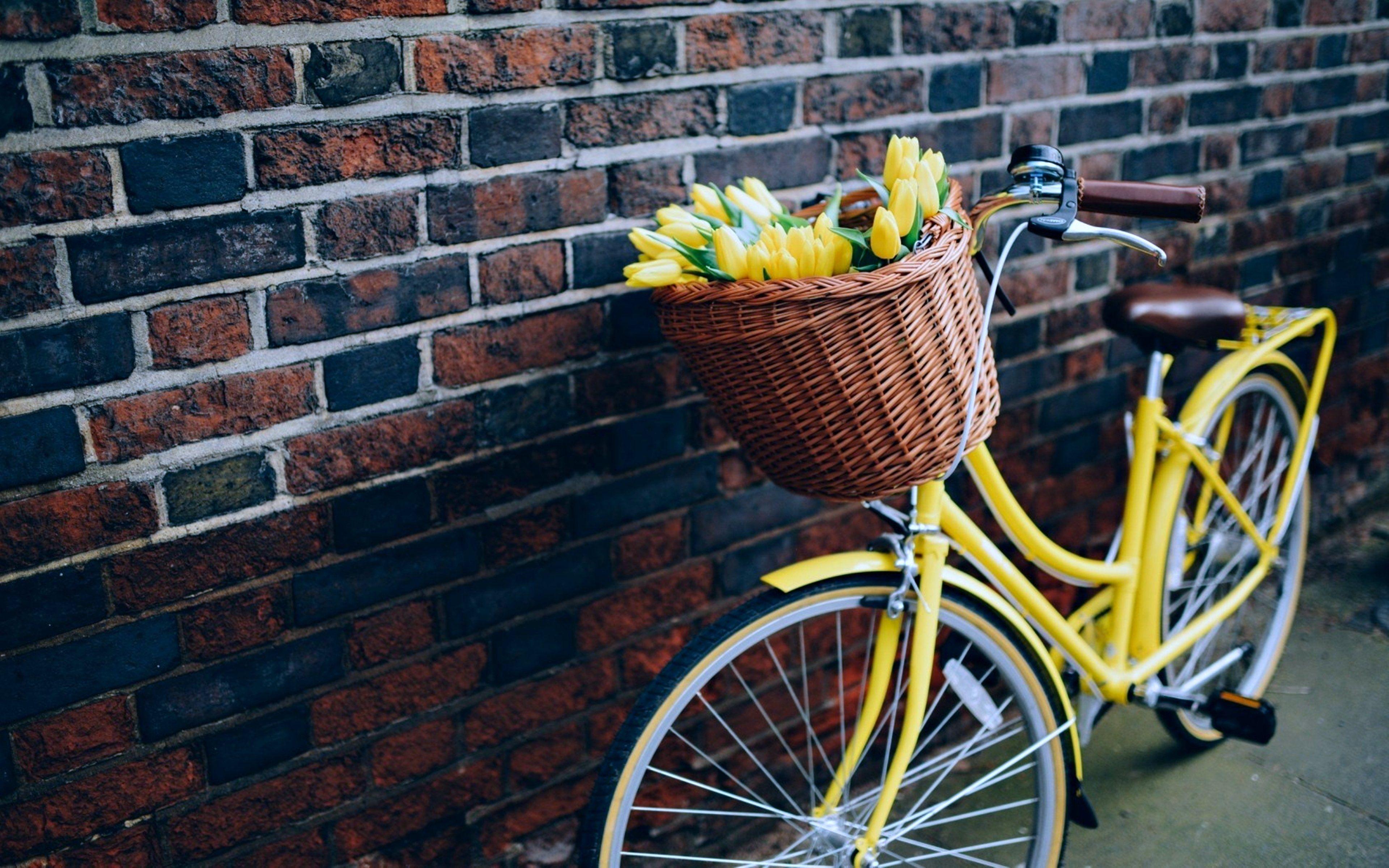 3840x2400 flowers, Bike, Yellow, Wall, Bicycle, Life, Love Wallpaper HD / Desktop and Mobile Background