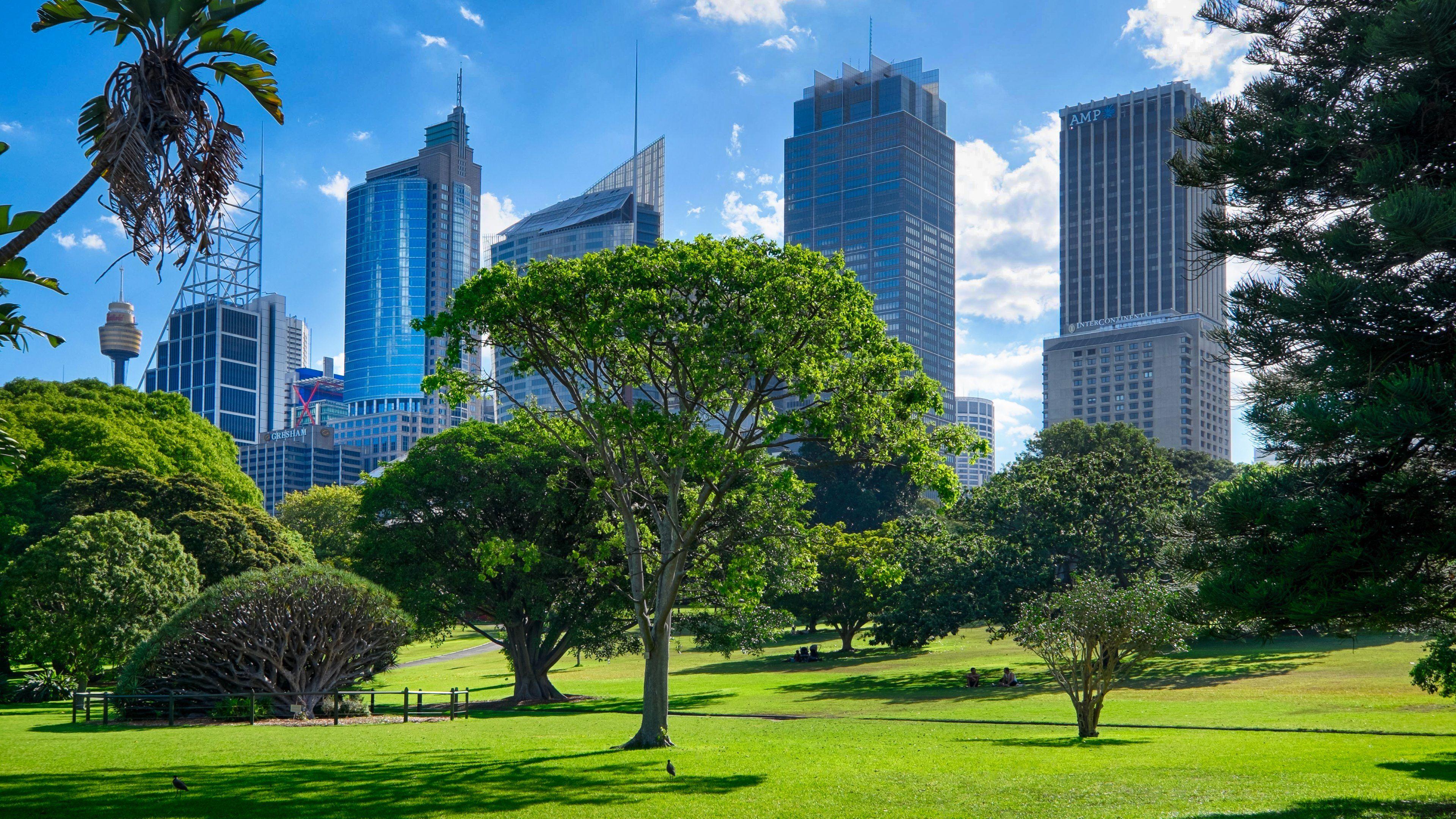 3840x2160 Botanical Gardens, Sydney HD Hd Wallpaper Garden Wallpaper & Background Download