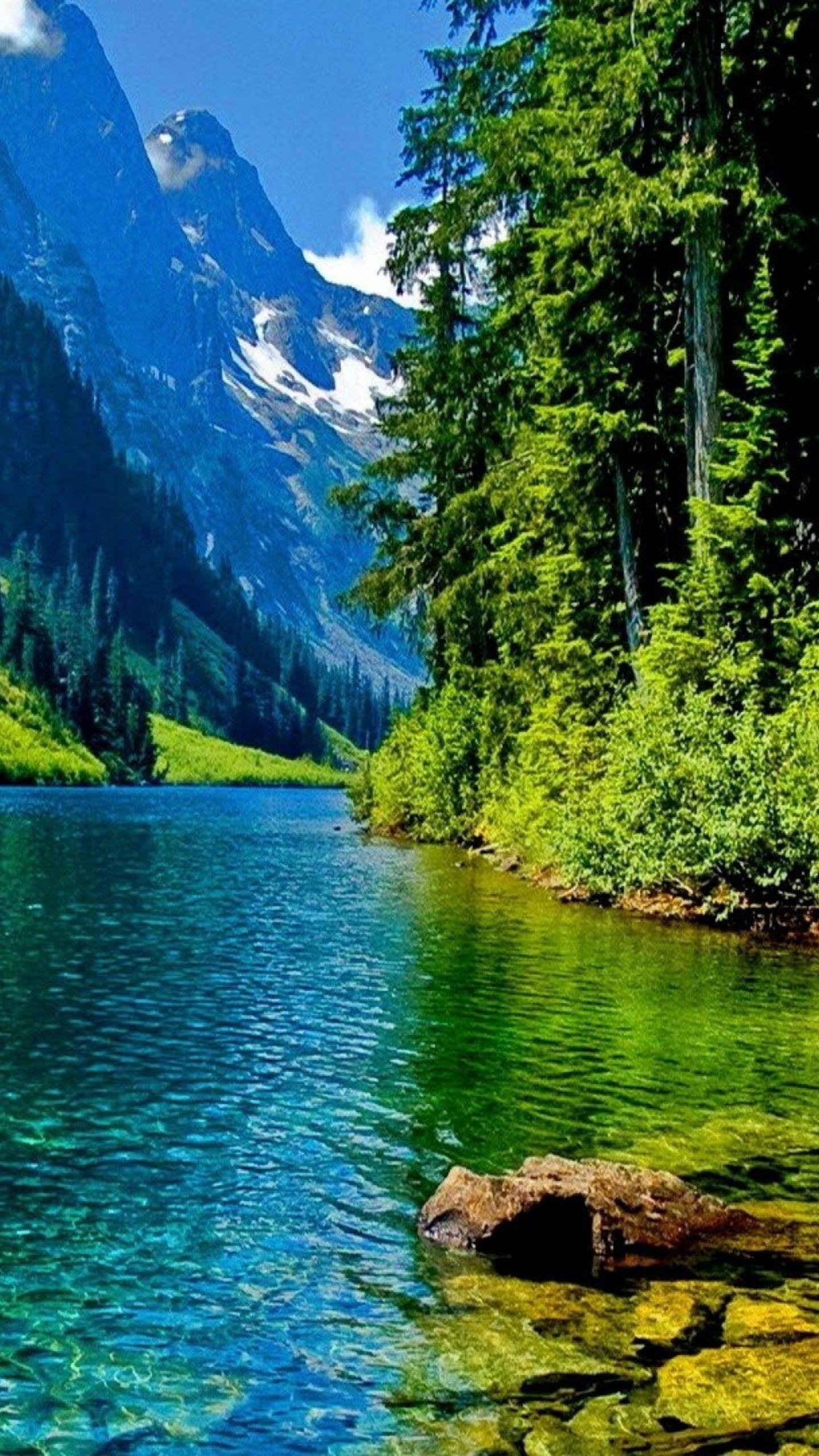 Green Nature Water Wallpapers - Top Free Green Nature Water Backgrounds