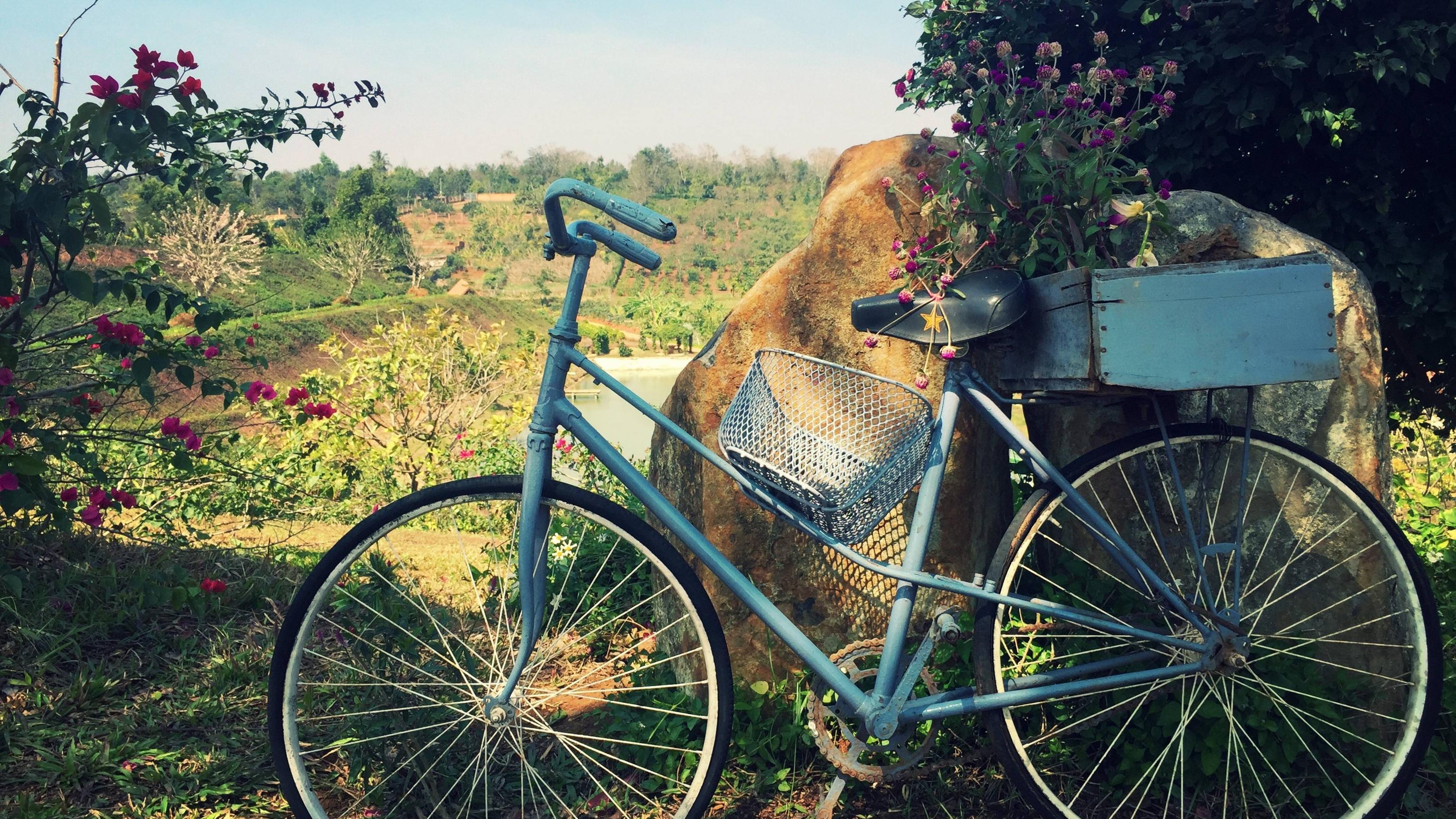 5120x2880 bicycle, basket, flowers 5K Wallpaper, HD Nature 4K Wallpaper, Image, Photo and Background