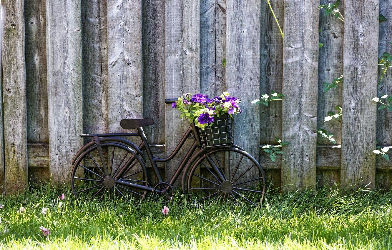 1332x850 Wallpaper wallpaper, grass, bicycle, bike, wood, flowers, basket, lawn, vintage style image for desktop, section настроения