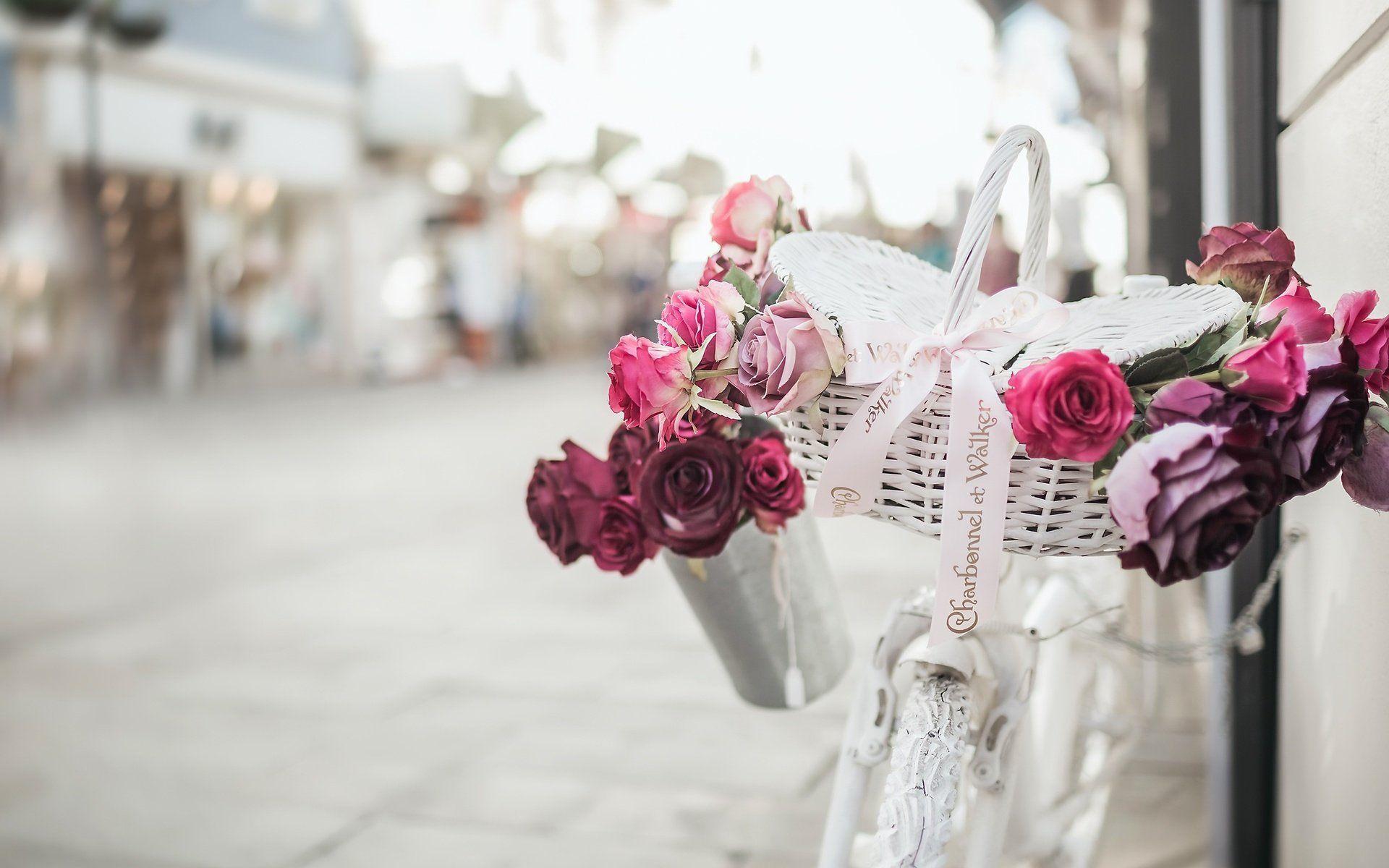 1920x1200 Download wallpaper pink flowers, bicycle, street scenery, roses for desktop with resolution 1920x1200. High Quality HD picture wallpaper