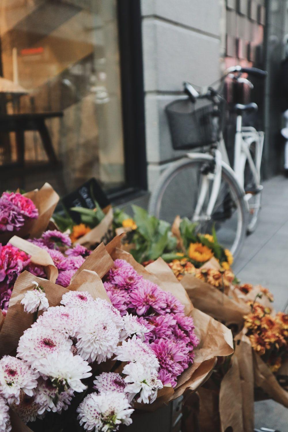 1000x1500 Bike Flowers Picture. Download Free Image