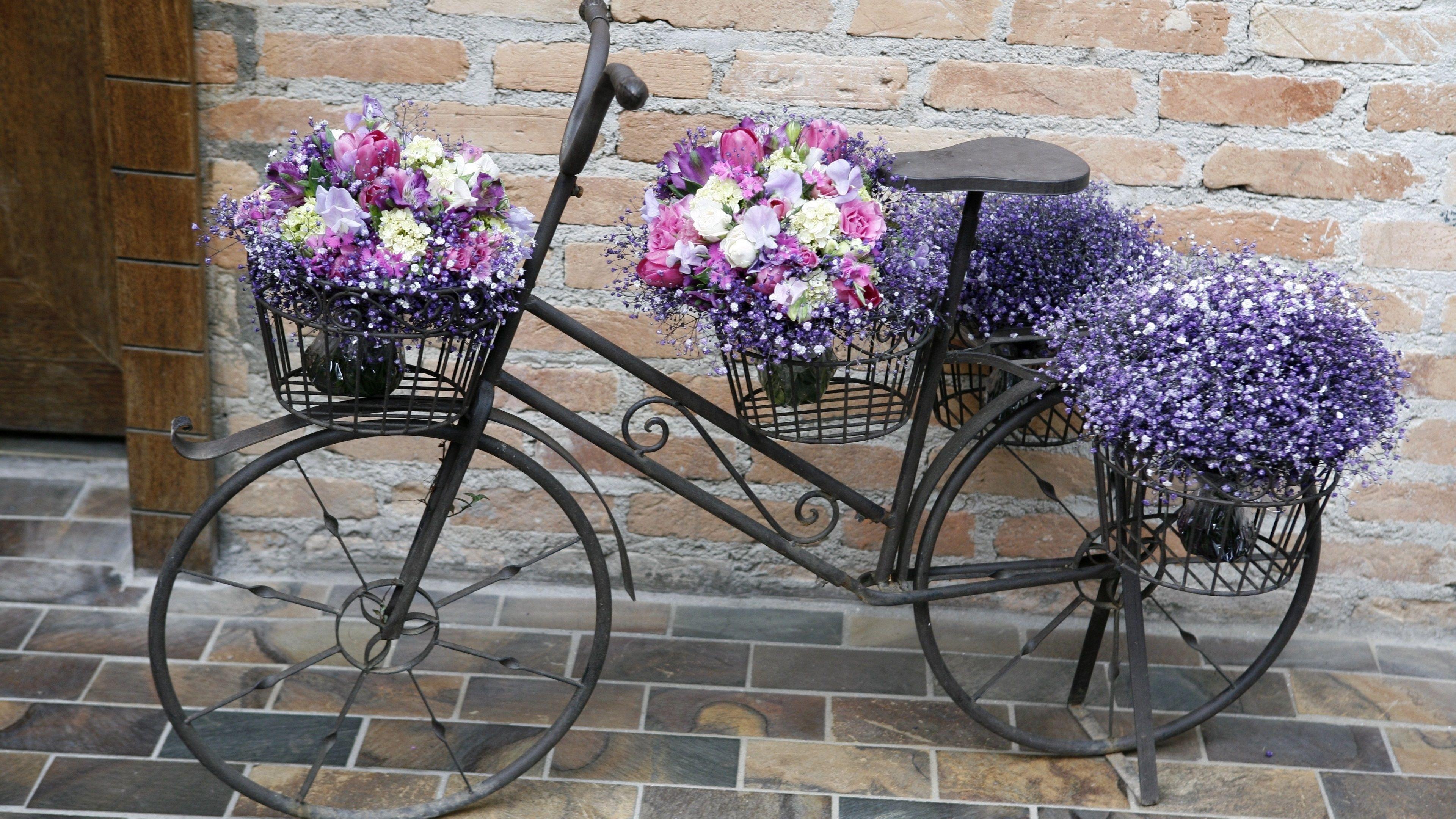 3840x2160 Wallpaper Many flowers, bike 3840x2160 UHD 4K Picture, Image