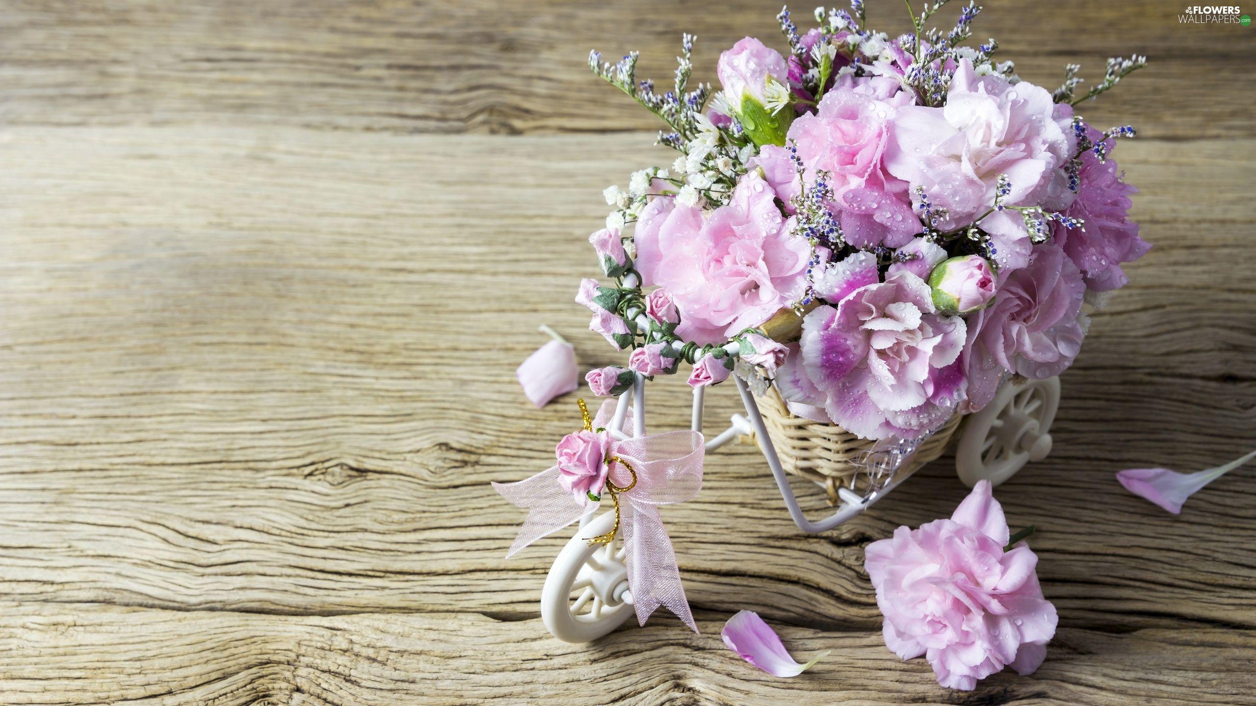 2560x1438 decoration, Flowers, Clove Pink, Bicycle wallpaper: 2560x1438