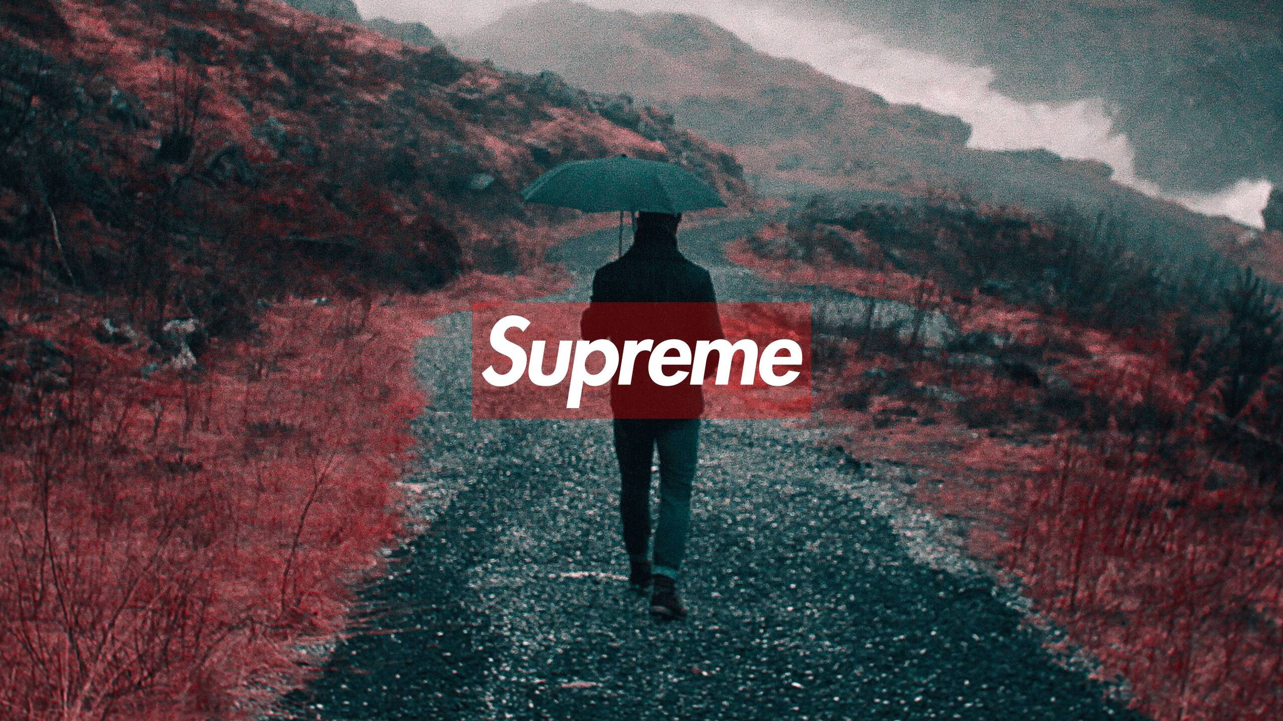 Supreme X Louis White Ultra HD Desktop Background Wallpaper for 4K UHD TV :  Widescreen & UltraWide Desktop & Laptop