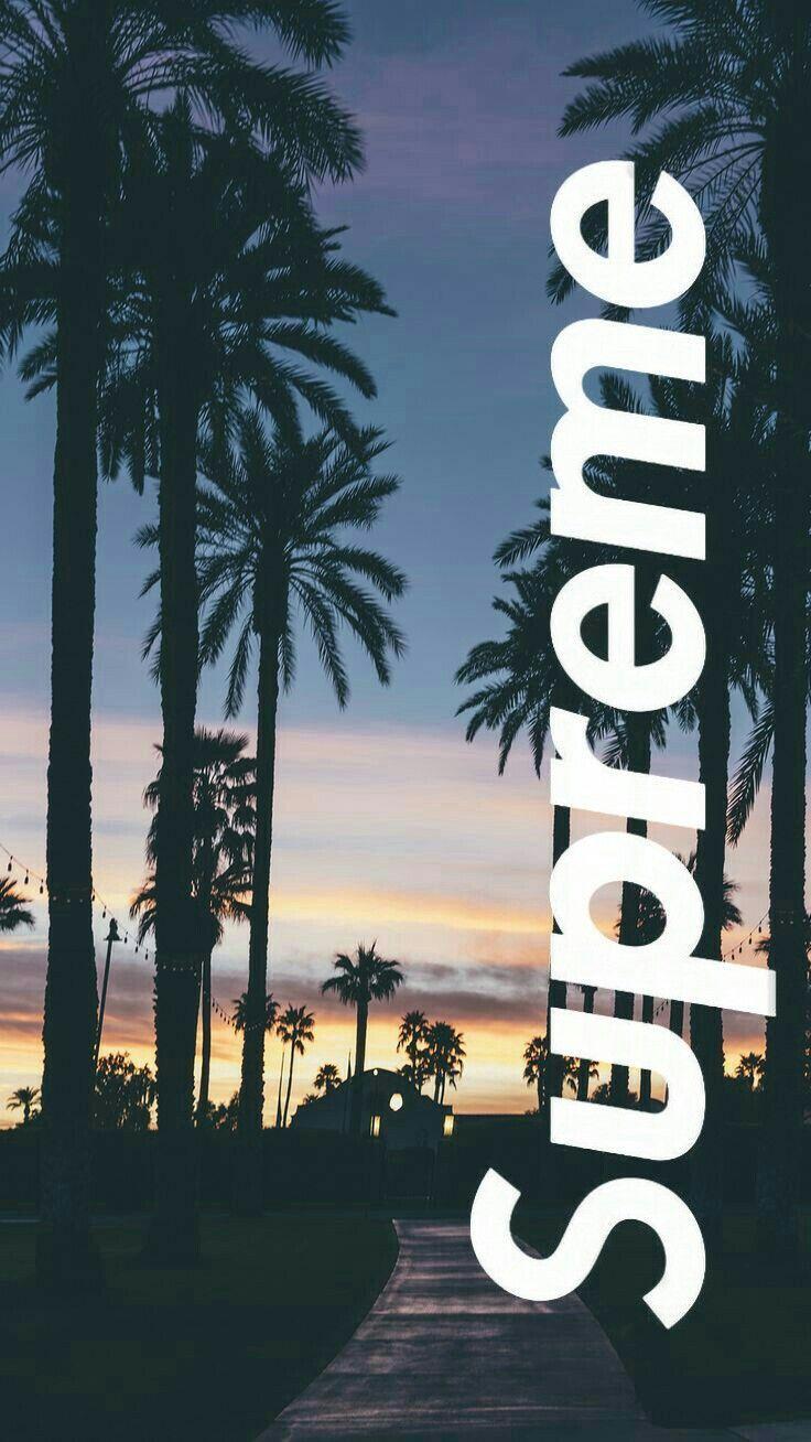 736x1308 Wallpaper Supreme, Marcas Famosas, Wallpaper Praia Wallpaper Palm Trees Wallpaper & Background Download