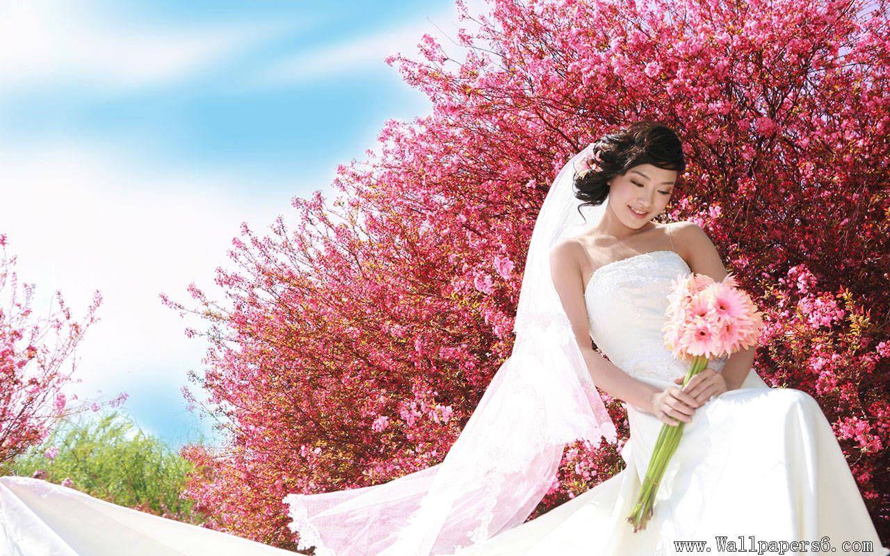 1280x800 Wedding Gown Wallpaper Hhrma Job Career Bali HD Wallpaper