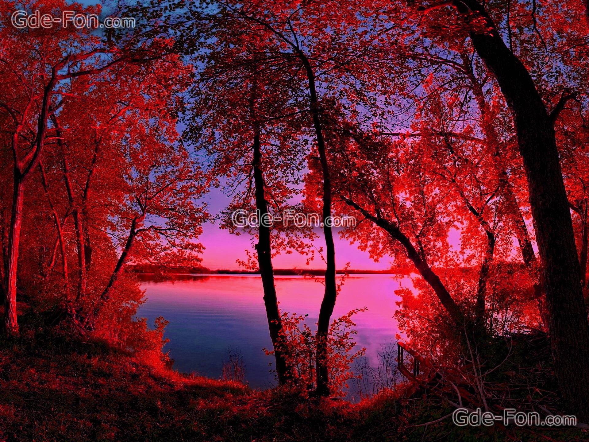 Crimson Nature Wallpapers - Top Free Crimson Nature Backgrounds ...