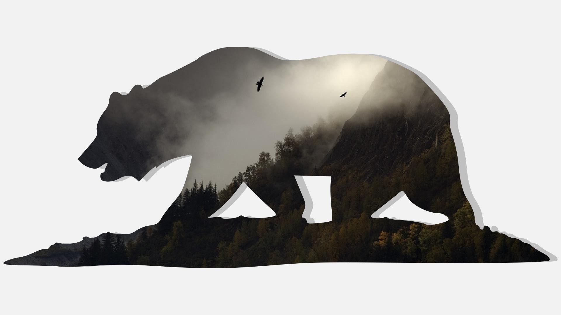 1920x1080 Cali Bear Wallpaper