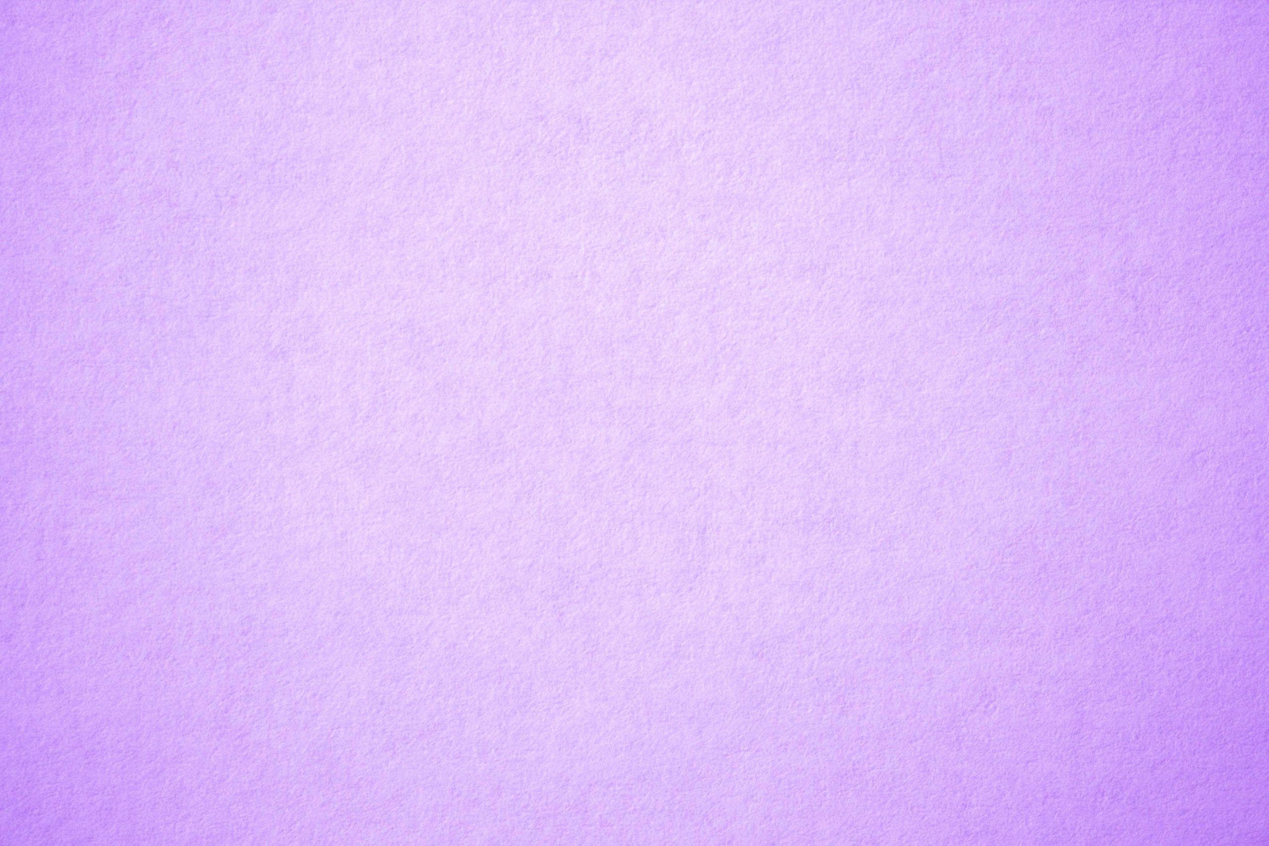 Hình nền màu tím nhạt đẹp nhất trong ngày 2560x1707
