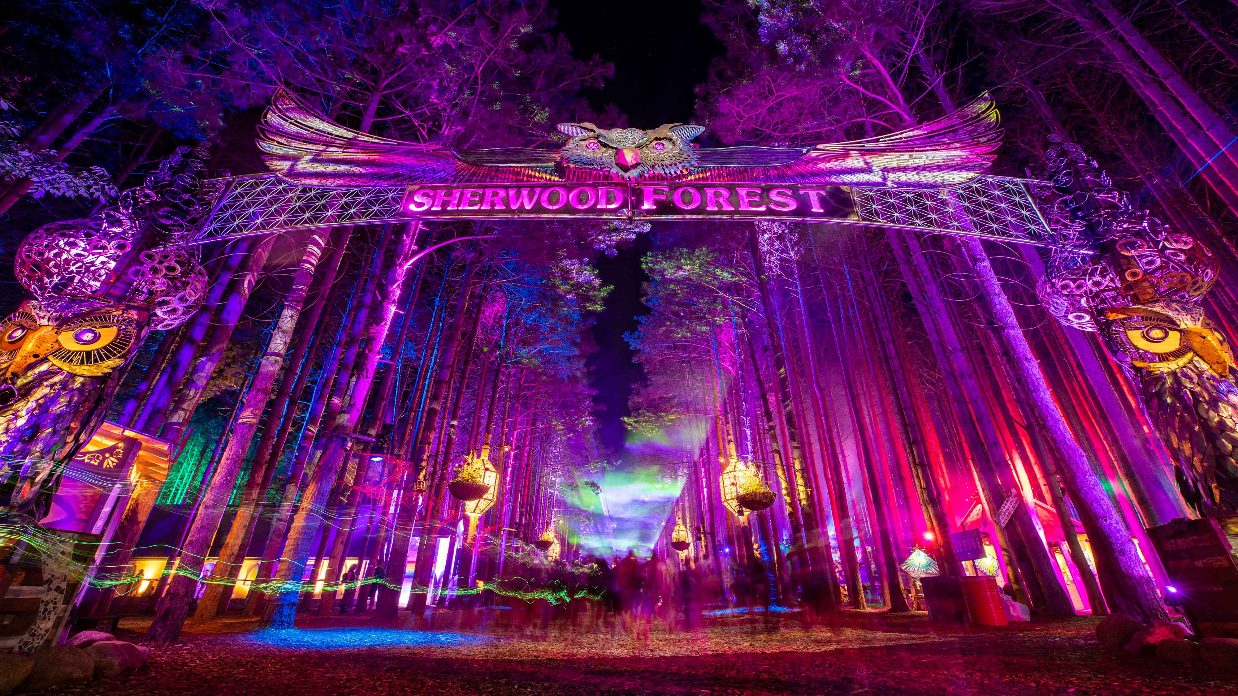 4000x2250 Electric Forest Wallpaper