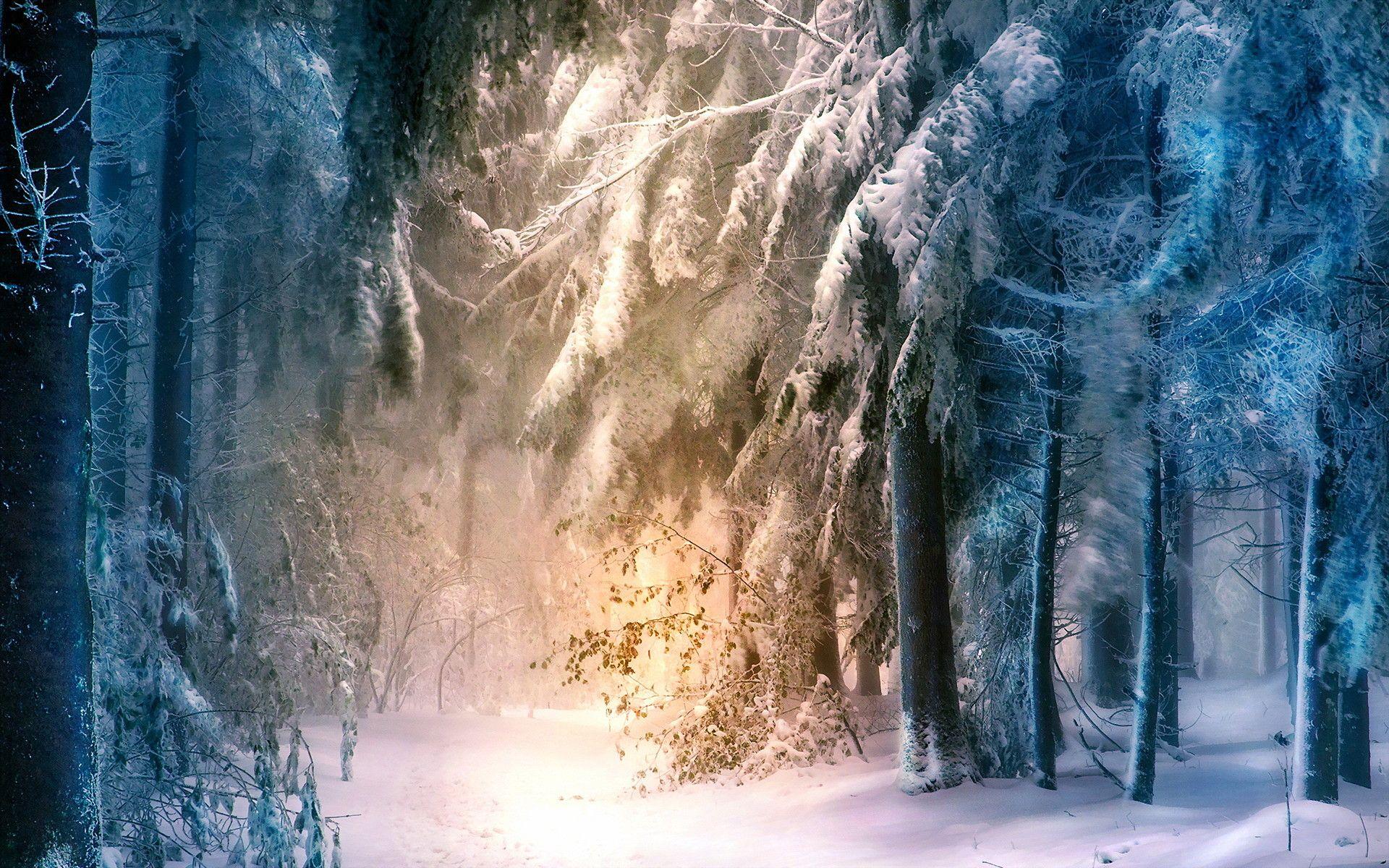 Magical Winter Wallpapers - Top Free Magical Winter Backgrounds ...