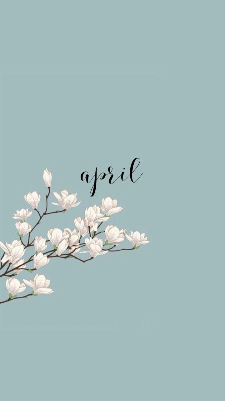 720x1280 Teal Flower Aesthetic Background