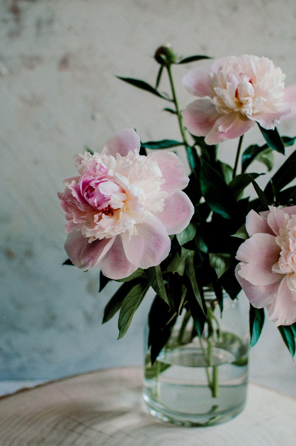 1000x1506 Vintage Flowers Picture. Download Free Image