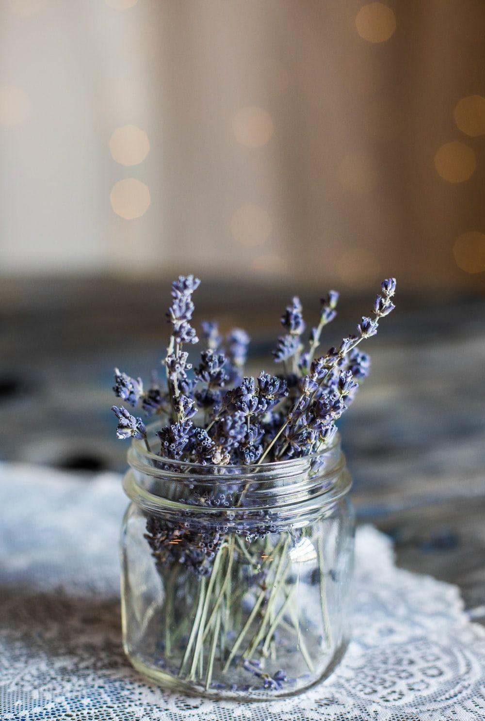 1000x1487 Vintage Flowers Picture. Download Free Image